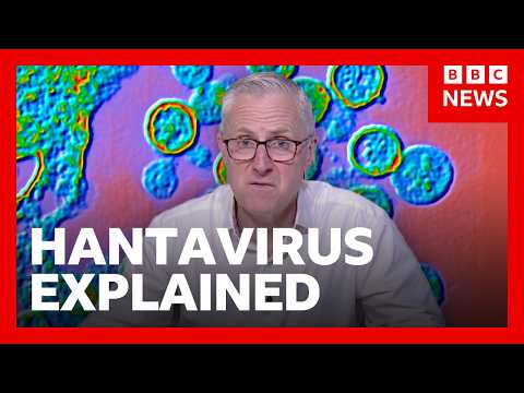 漢他病毒是什麼？如何傳播？| BBC News (What is hantavirus and how is it spread? | BBC News)