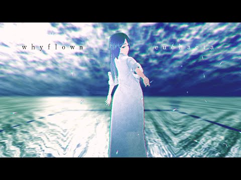 Euchaeta - Why Flown [Official Music Video]