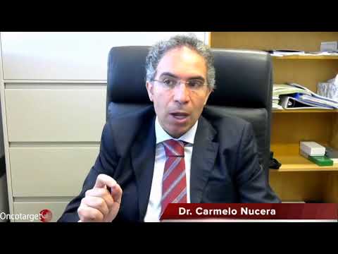 interview - Interview with Dr. Carmelo Nucera from Harvard Medical School