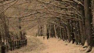 Silent Night...Elvis Presley