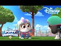 Puppy Vriendjes | Puppy Problemen ? | Disney Channel NL