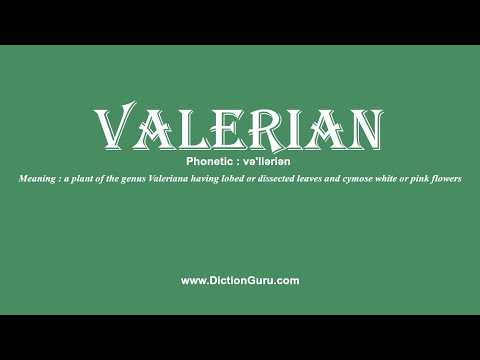 How to Pronounce valerian with Meaning, Phonetic, Synonyms and Sentence Examples