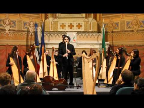 Kerry the Kingdom (Live 2010) - Fabius Constable & the Celtic Harp Orchestra