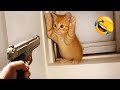 Try Not To Laugh The Funniest Animals Part 17