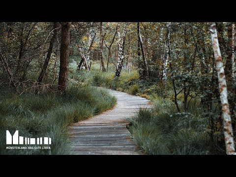 Das Venner Moor im Münsterland