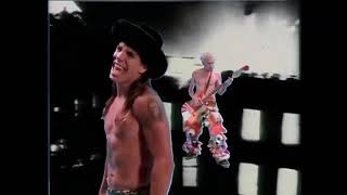 Red Hot Chili Peppers   Higher Ground Official Music Video