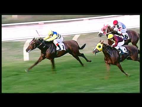 Galoppo 02/11/2020 - 6ª corsa