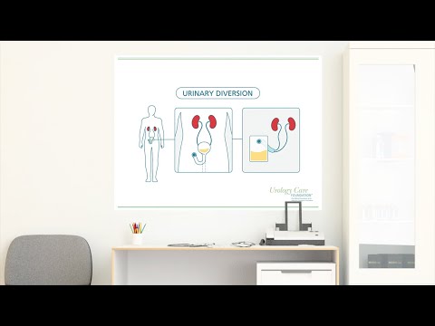 Bladder Cancer Treatment: Urinary Diversion - Urology Care Foundation