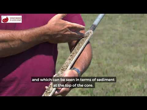 Venice Lagoon. The salt marshes and what they need to survive