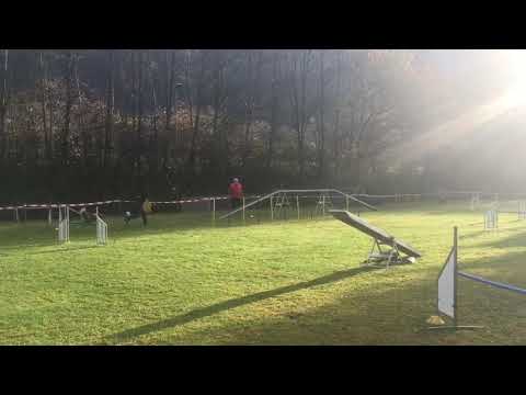 Leni Halloweenturnier 2018