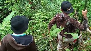 Download lagu moro bagong |||PART 1 mp3