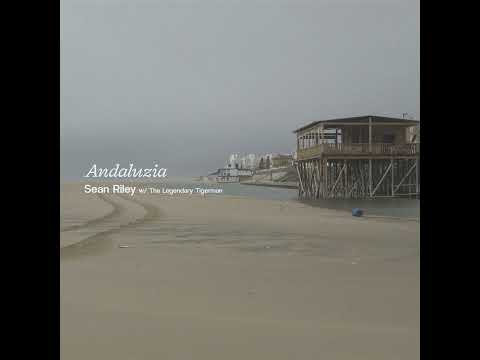 One Day - Sean Riley & The Legendary Tigerman