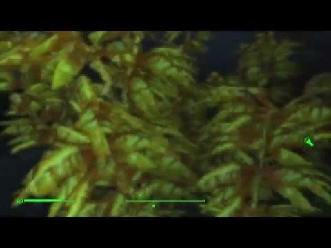 Fallout 4 - Exploring the Ocean Floor!