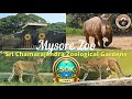 Exploring Mysore Zoo A Virtual Tour Of Mysuru Zoo Sri Chamarajendra Zoological Gardens 4K