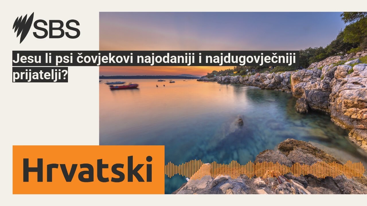 Jesu li psi čovjekovi najodaniji i najdugovječniji prijatelji? | SBS Croatian - SBS na hrvatskom