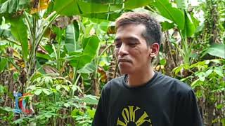 Download lagu STORY WA BY DENI CREATOR mp3