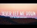VIZE Tom Gregory Never Let Me Down Lyrics