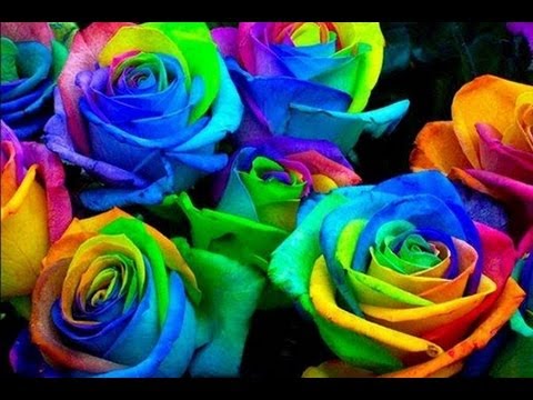 download lagu mp3 mp4 Arrosako Zolan Paroles, download lagu Arrosako Zolan Paroles gratis, unduh video klip Arrosako Zolan Paroles