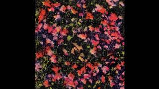 Ricky Eat Acid - april (Full EP)