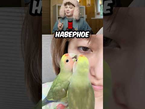 Он ХОТЕЛ ПОМОЧЬ МАМЕ и СДЕЛАЛ ЭТО! 😭🦜