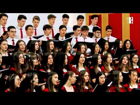 Necaz sau stramtorare! Corul Credo al LTA ❤️🤍🎵🎺🎶🎼🎻🎸🎙🎹