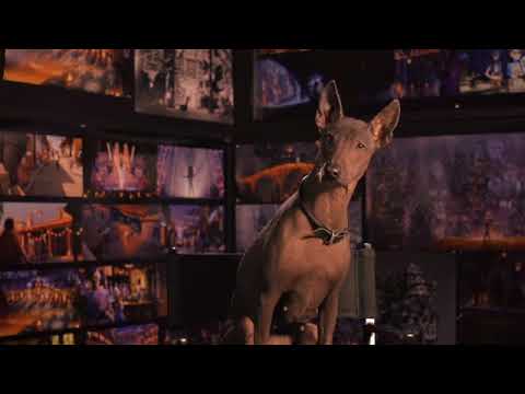 Dante Q&A | Coco 🎸 | Disney Arabia