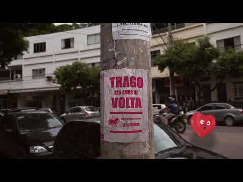 Trago Seu Amor de Volta (Pv e Dilsinho) - Zebu remix