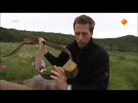 Freek in het wild Verdoofde olifant kijk je op npo nl