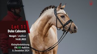 Video koně Duke Caboom