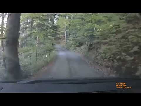 66. Rajd Wisły 2021 - OS 1 Partecznik (4,2 km)