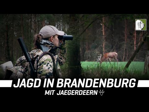 Jagen in Brandenburg | Mit Martje @Jaegerdeern | 4K
