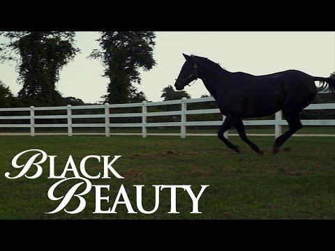 Black Beauty (2020) | Official International Trailer | Kate Winslet | Luke Perry | Bruce Davison