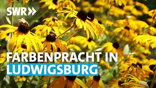 Gärtnern wie die Profis - Im Blühenden Barock Ludwigsburg (Teil 1) | SWR Grünzeug