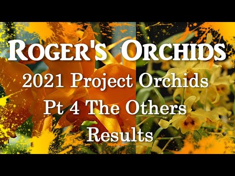 2021 Project Orchids Pt 4 The Others - Results