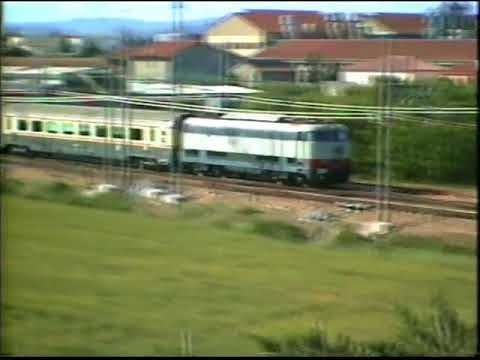 E444  Tartarughe in Romagna  07