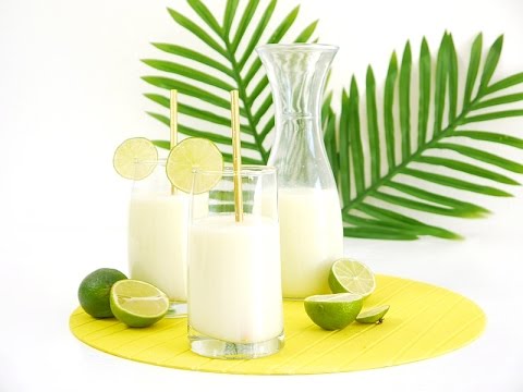 Brazilian Lemonade Limeade Recipe | BirdsParty.com