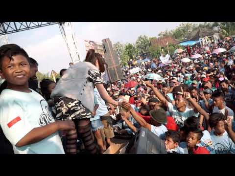 download lagu mp3 mp4 New Pallapa Live Werdoyo 2018, download lagu New Pallapa Live Werdoyo 2018 gratis, unduh video klip New Pallapa Live Werdoyo 2018