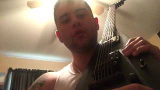 James Hetfield ESP LTD VULTURE review