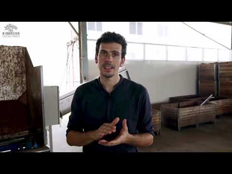 Cacao Trace Fermentation Process - Episode 3
