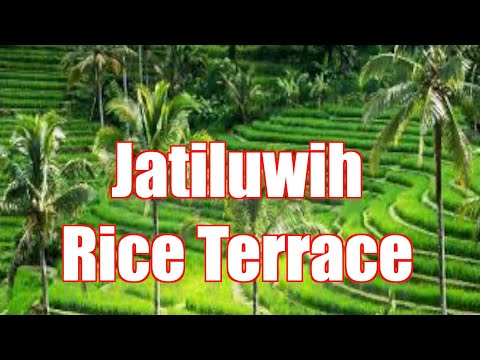 Heaven on Earth in Bali - Jatiluwih Rice Terraces UNESCO World Cultural Heritage Site