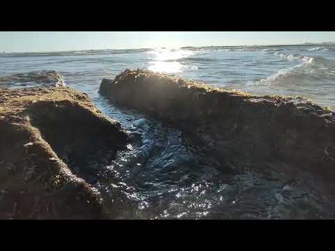 Golan Zocher & Choopie - Amirim feat. GrabWosky