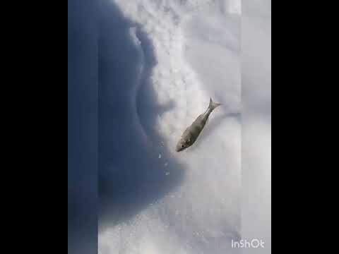 Pilkillä Keiteleellä