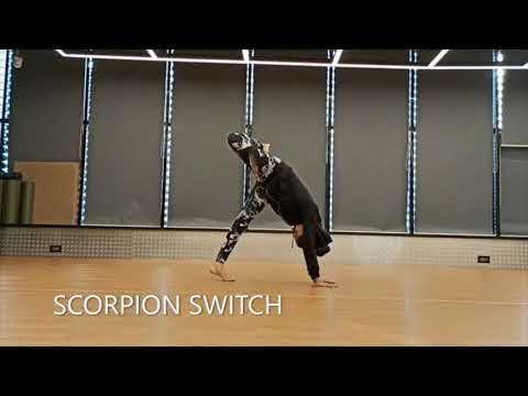 Animal Flow Moves- Harshala Chheda