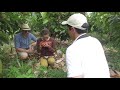 Hacienda Bambusa - Coffee Region, Colombia