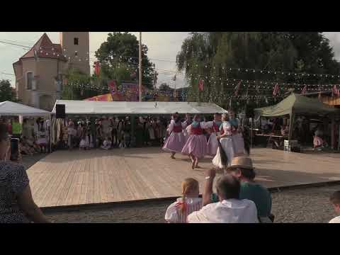 Bosonožky s pásmem Košťatová 2024