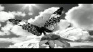 Shakira - No