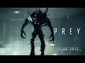 thumbnail: Prey (PlayStation 4)
