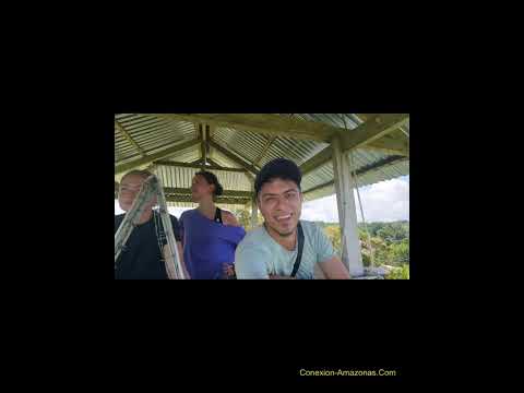 paraíso Ayahuasca #hotel #puertonarino #amazonascolombianas