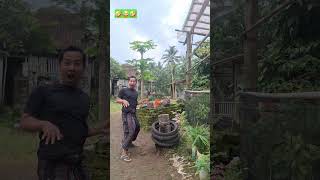 Download lagu Mau ketawa takut dosa video lucu bikin ngakak #funny #comedy #ngakak #seharianlucu #lucu #majedar mp3