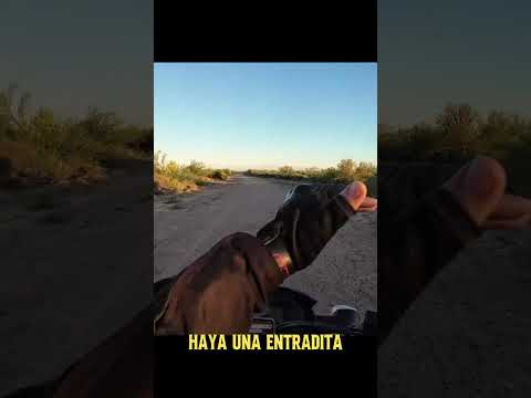 Venir acá no fue buena idea 😬